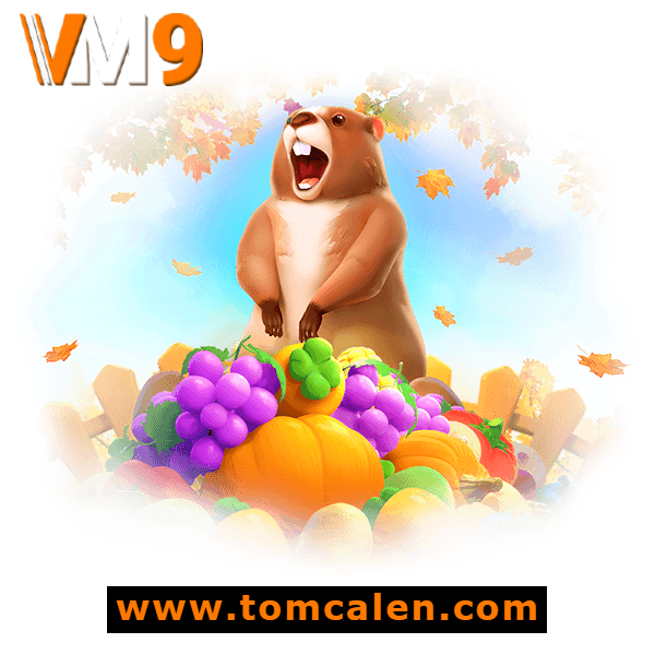 vm9app